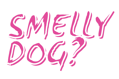 Smelly Dog