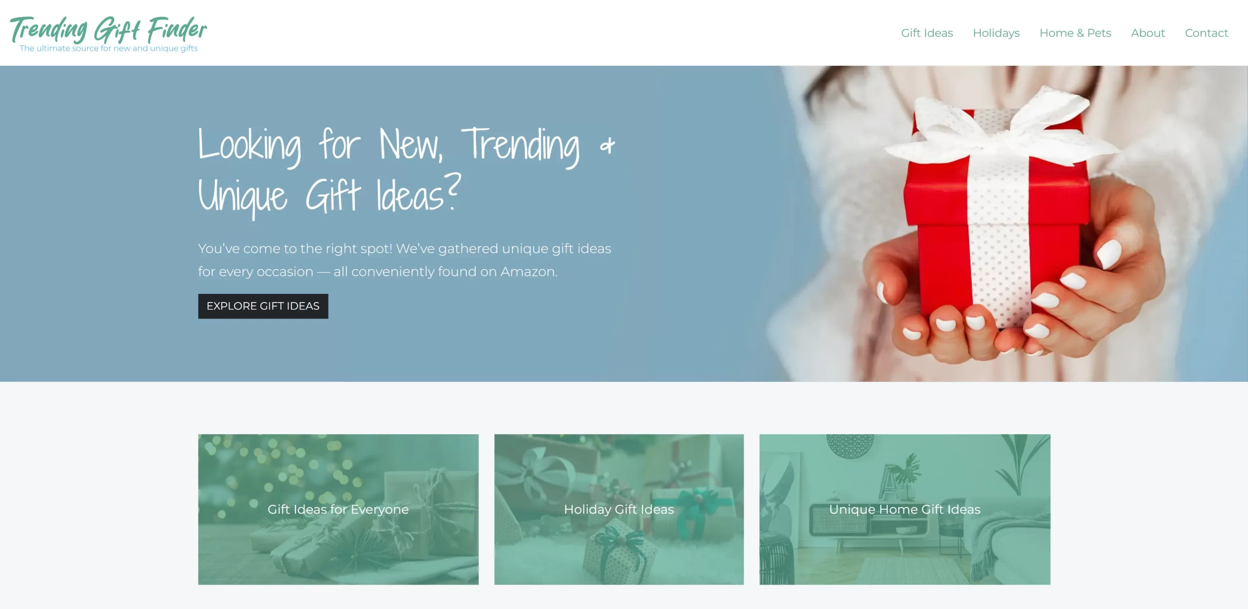 ecommerce website design amazon affiliate